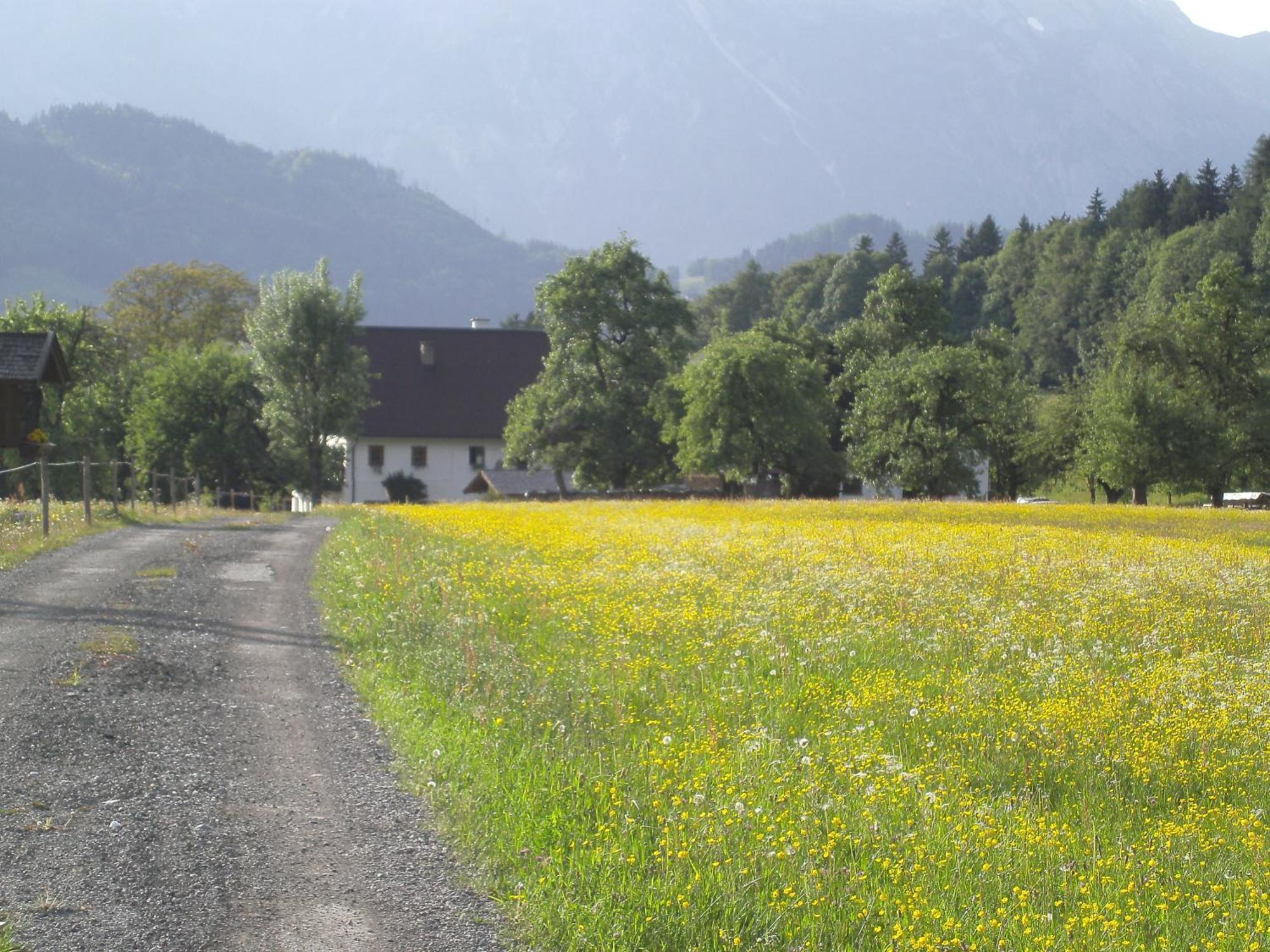 Appartement Haus Rieder à Pfarrwerfen Extérieur photo